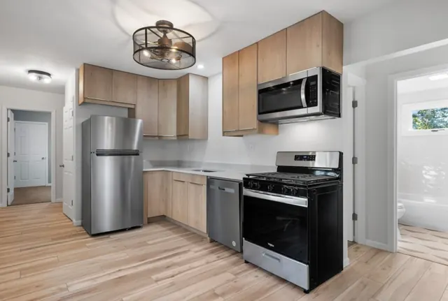 Kitchen with slab cabinets, stainless appliances and wood-look flooring, Twin Cities